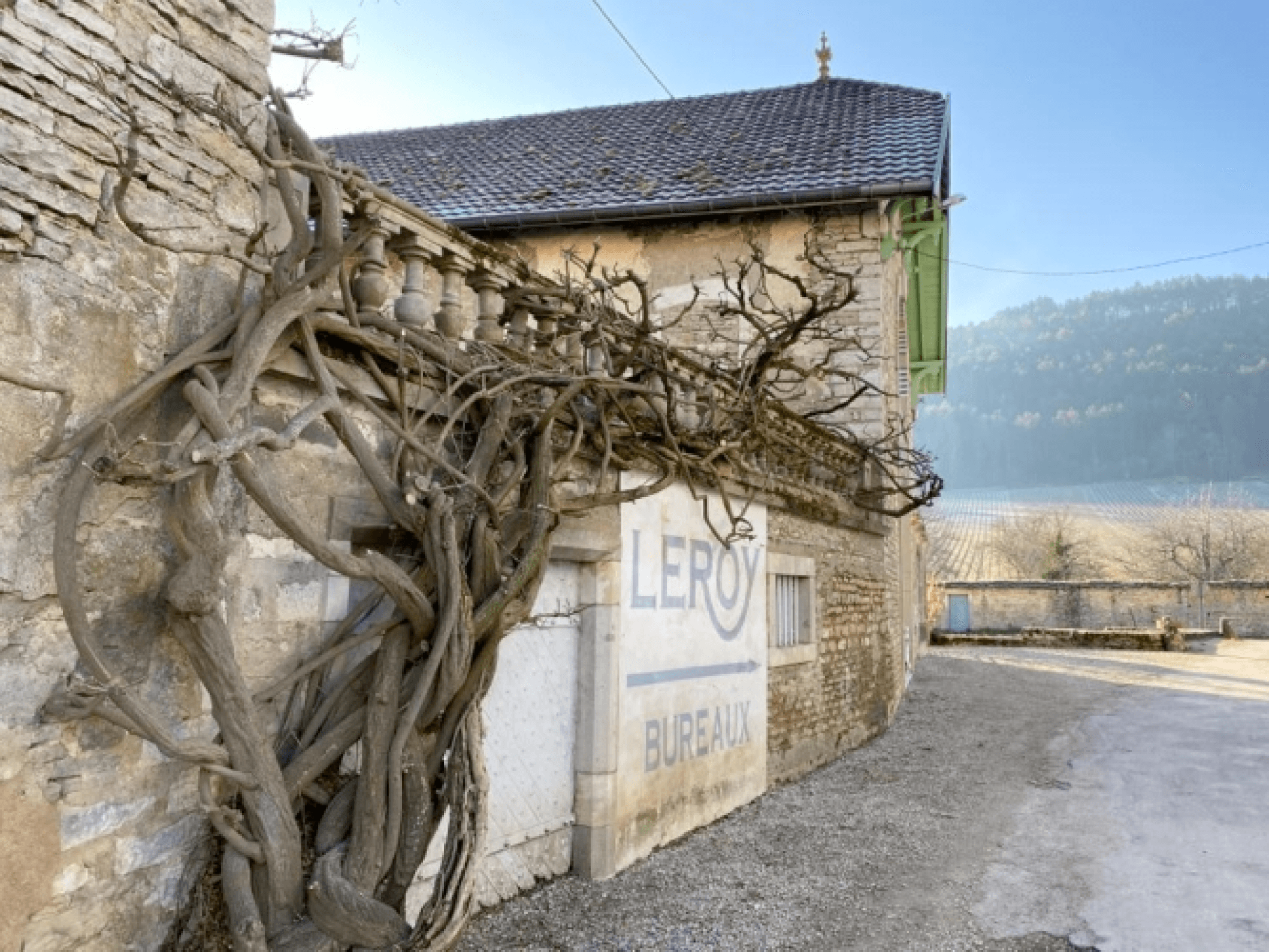 르루아 왕관의 보석, ‘도멘 도브네’