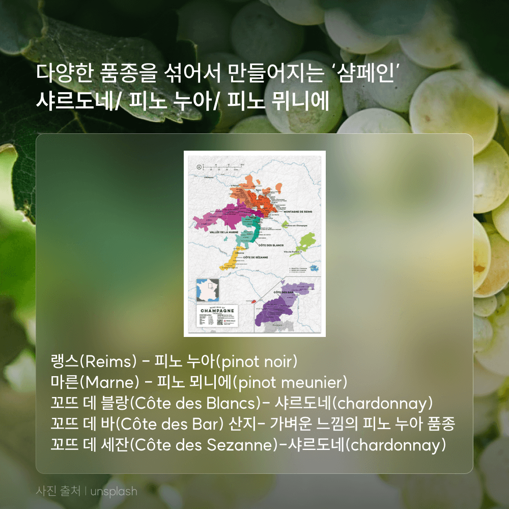 상품정보 이미지