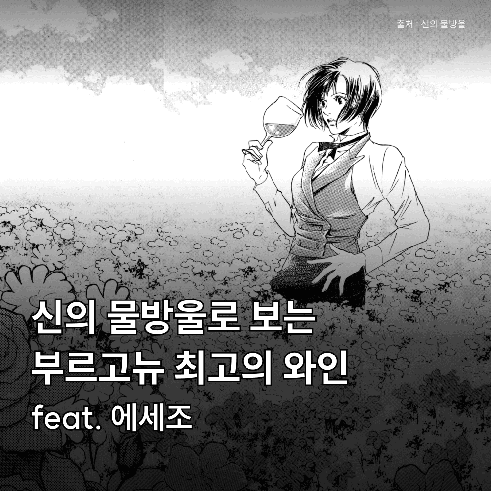 상품정보 이미지