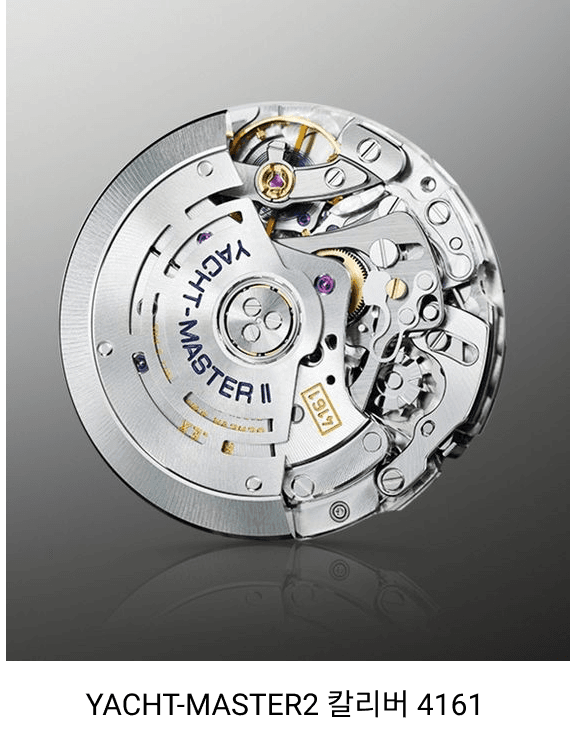 투자 포인트 이미지