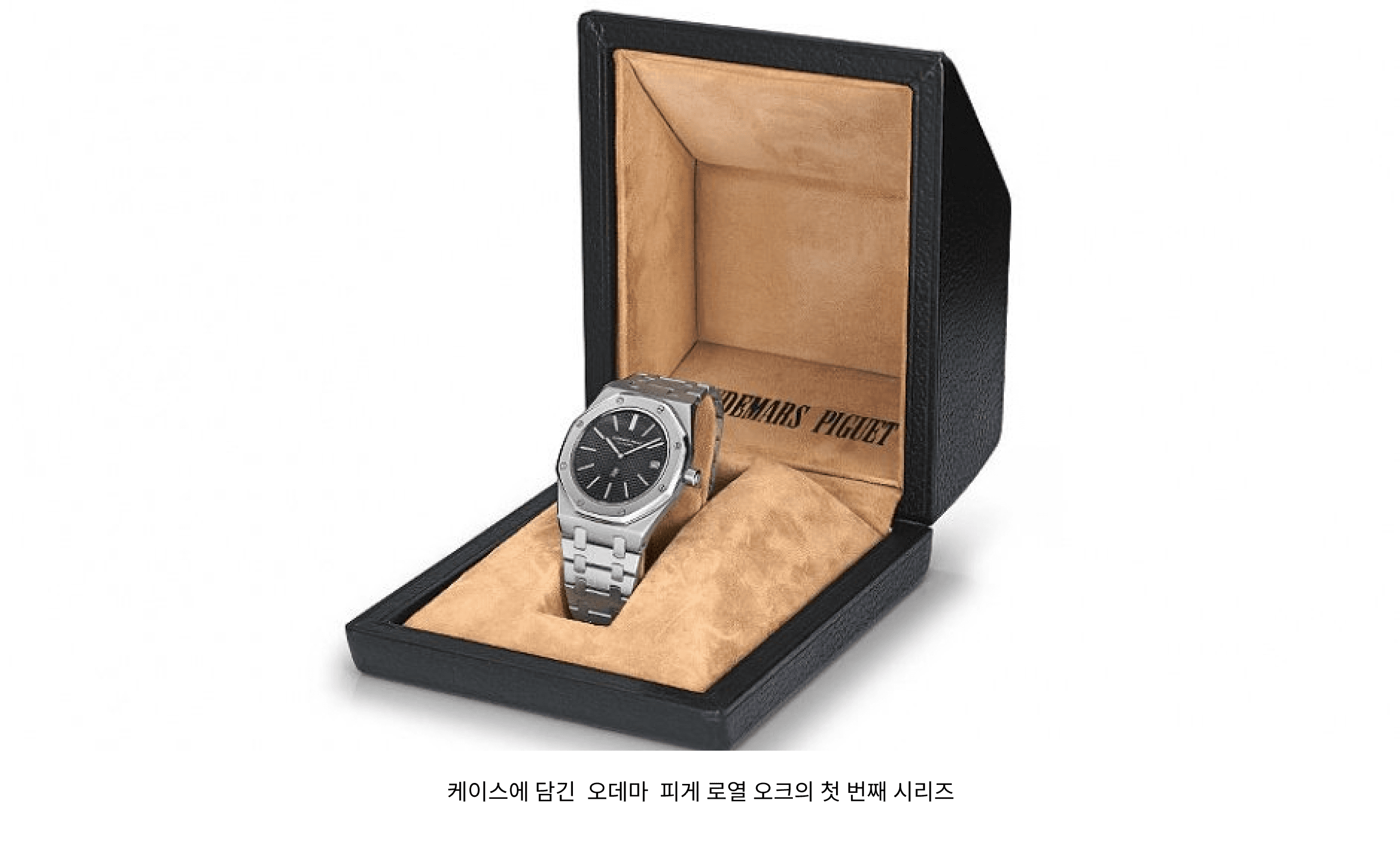 투자 포인트 이미지