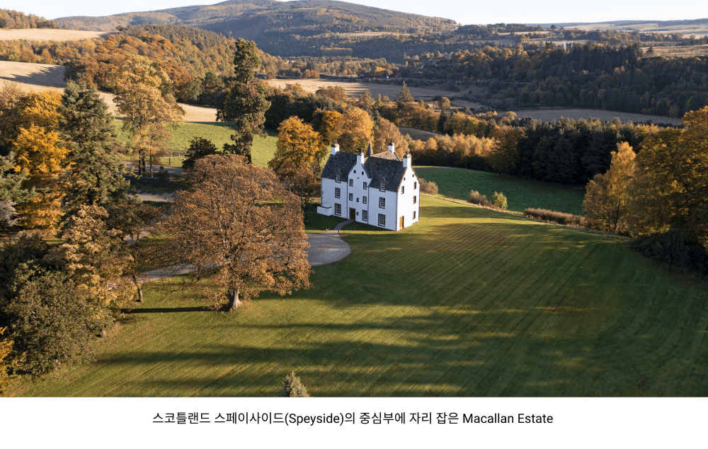 천사가 남긴 위스키, 맥캘란