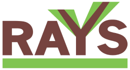 Rays Capital